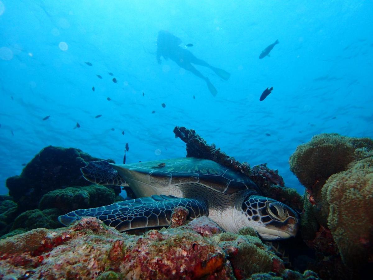 Manta Reserve Maalhos  エクステリア 写真